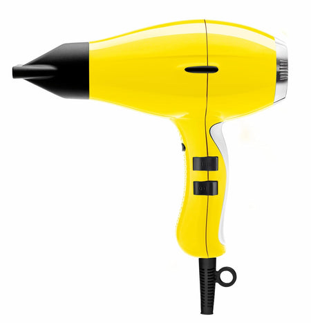 Elchim 3900 Healthy Ionic Dryer